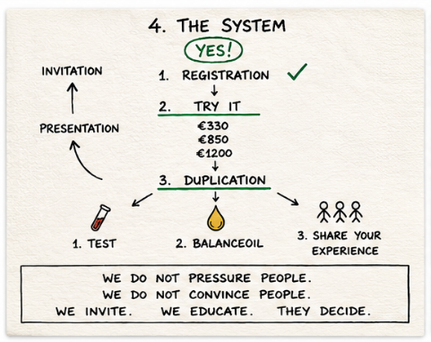 Napkin presentation EN 4