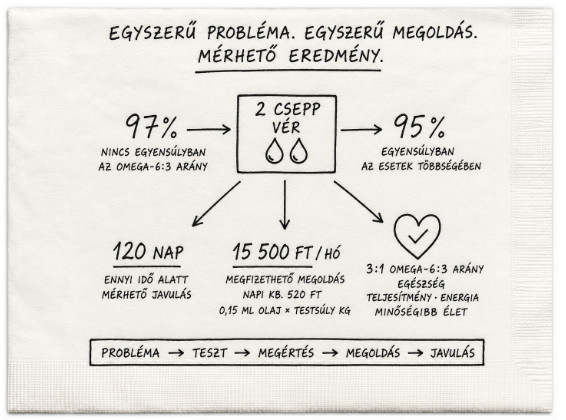 Szalvéta prezentáció HU 5