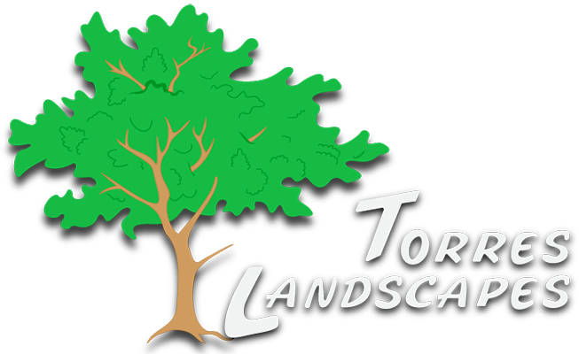 Torres Landscapes