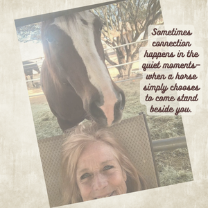 Woman sitting in paddock while her horse Spoon stands close beside her, showing a calm human–horse connection