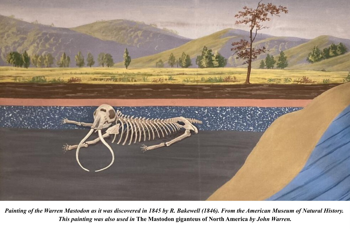 Warren mastodon bakewell painting mastodon giganteus Warren mastodon bakewell painting mastodon giganteus