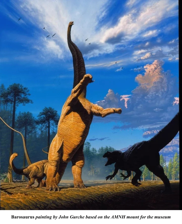 Barosaurus by John Gurche