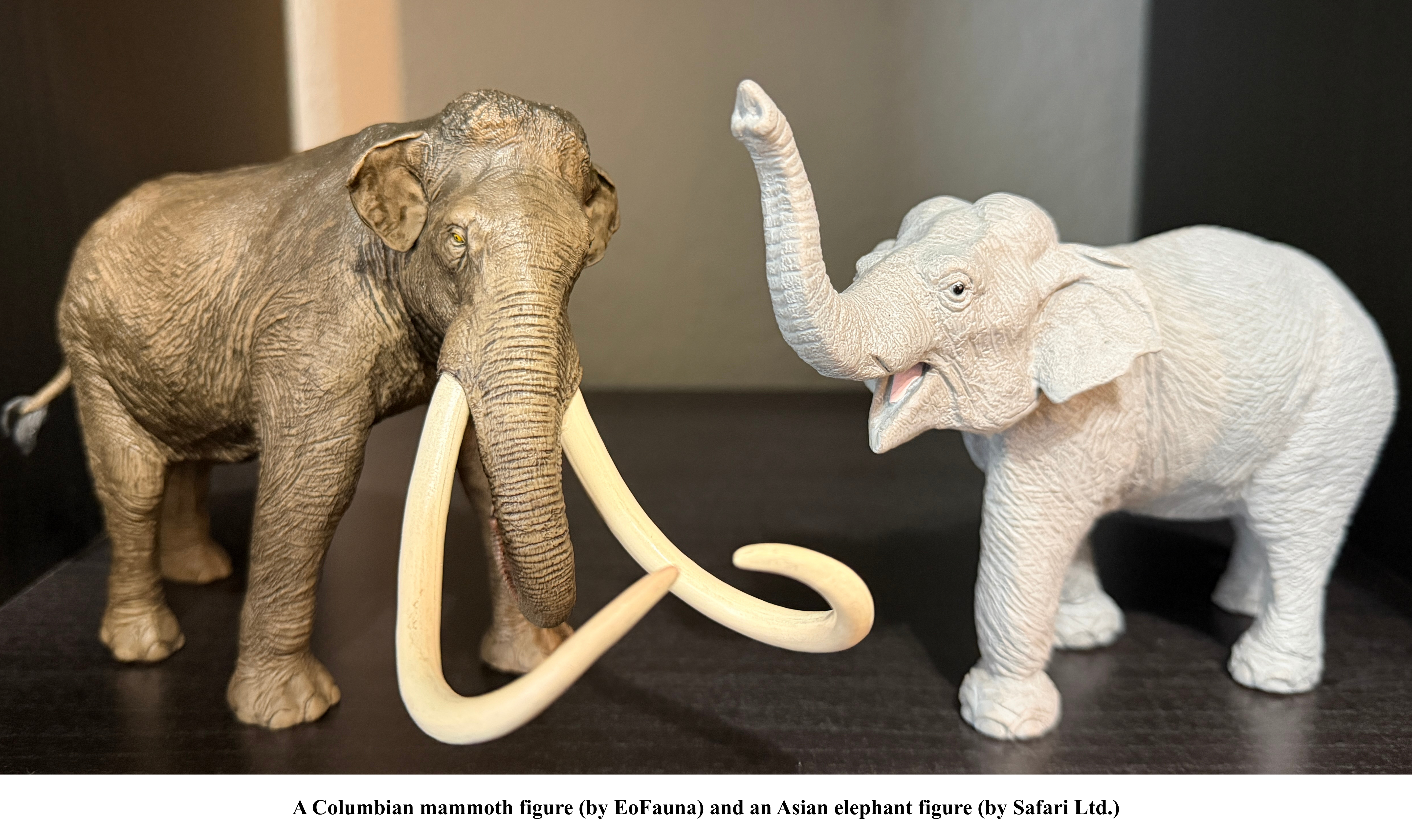 Asian elephant and Columbian mammoth figures