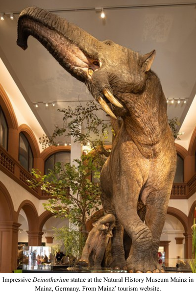 Deinotherium at Mainz
