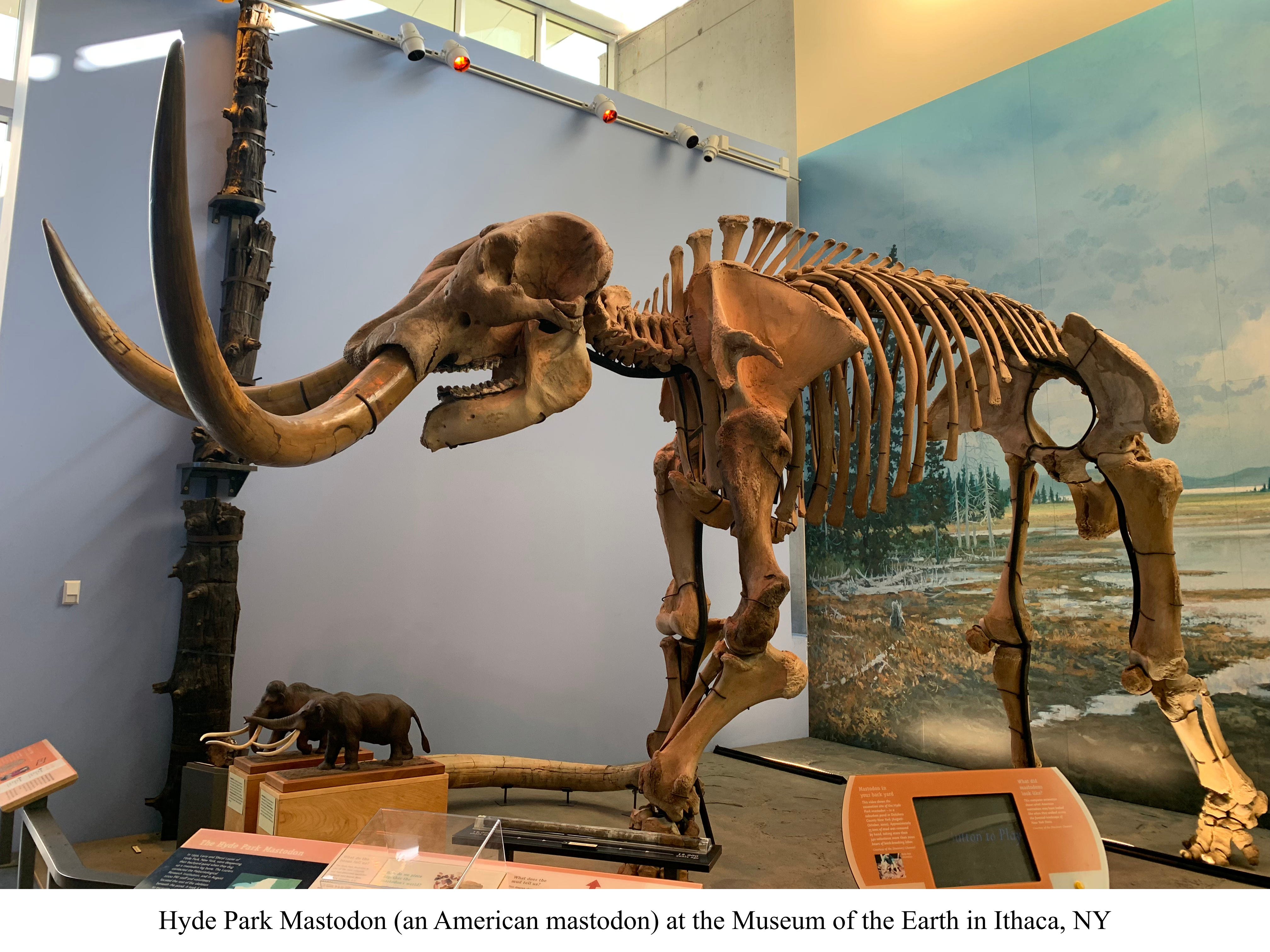 Hyde Park Mastodon 
