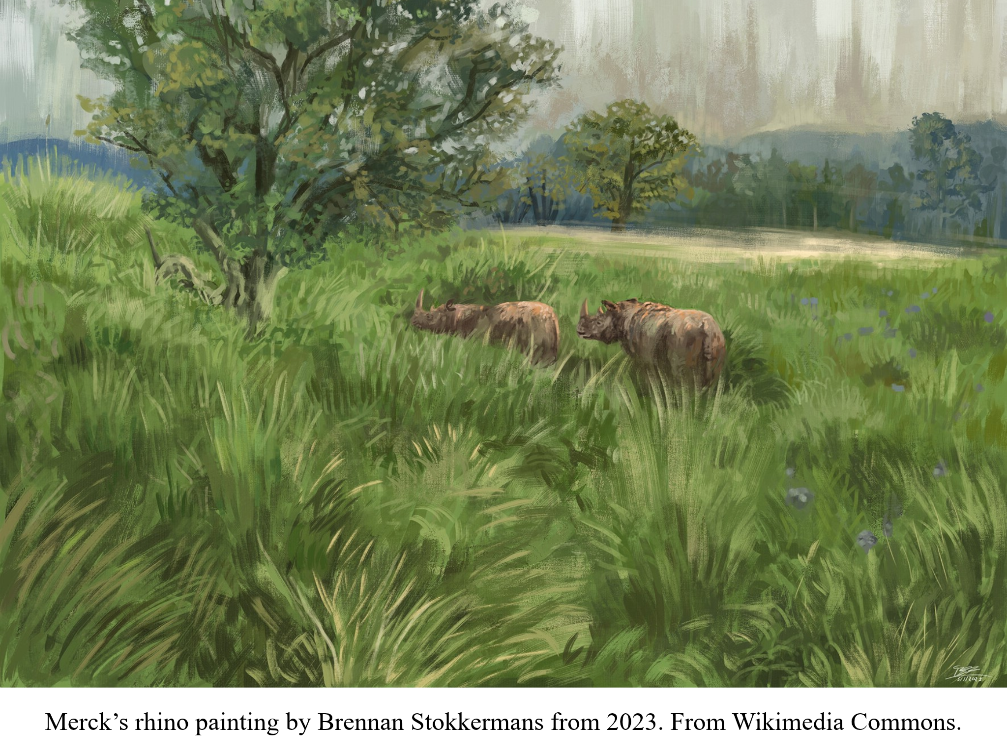 Merck's rhino painting by Brennan Stokkermans Merck's rhino painting by Brennan Stokkermans