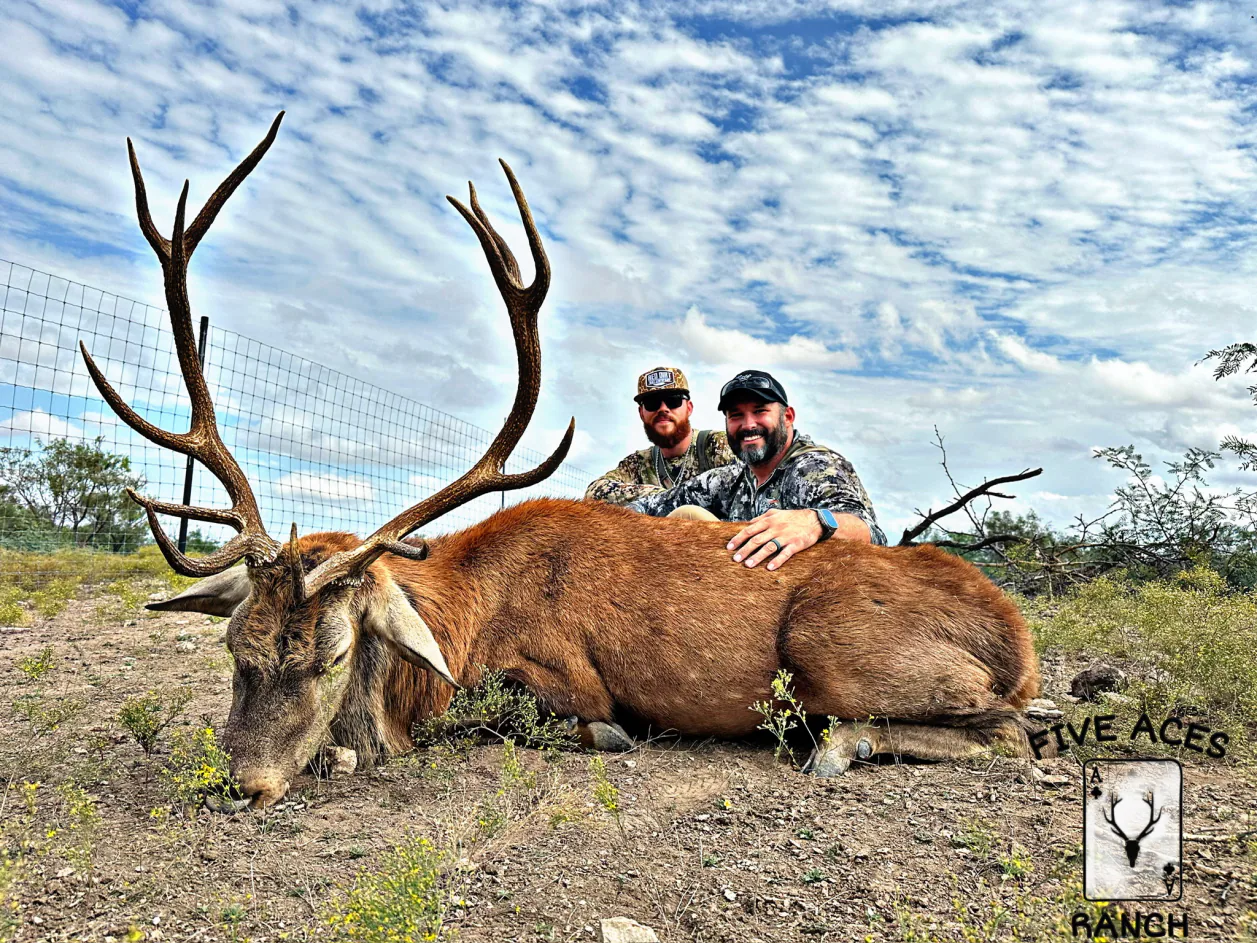 Hunter with trophy red stag harvested at Five Aces Ranch in Millersview, TX.