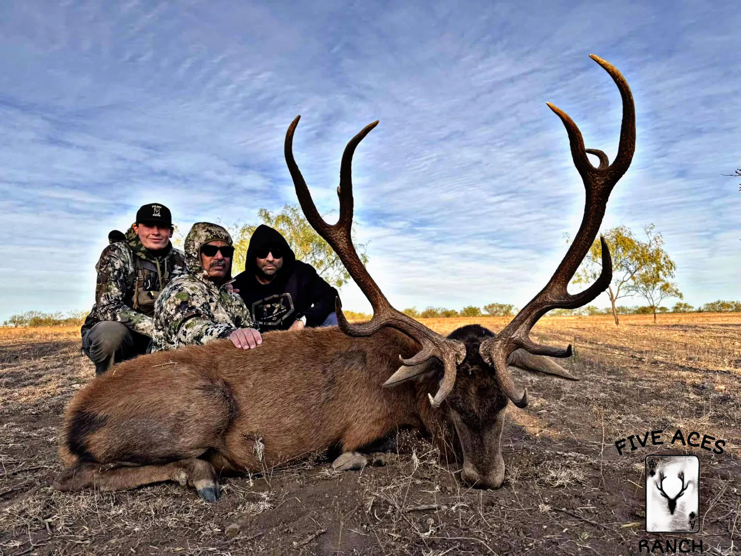 Hunter with trophy red stag harvested at Five Aces Ranch in Millersview, TX.