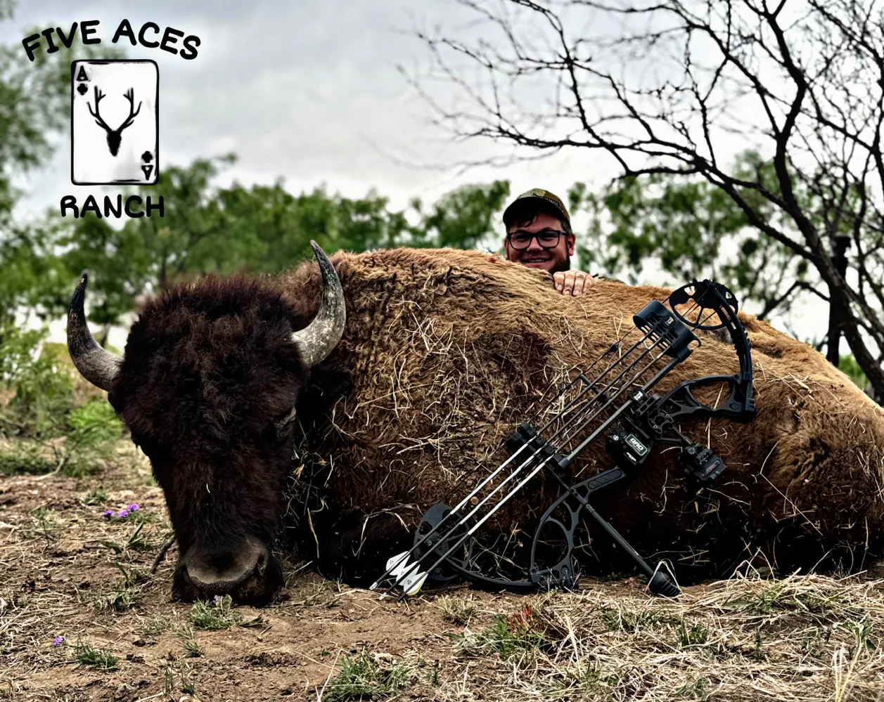 Free-ranging exotic wildlife at Five Aces Ranch, Millersview TX.