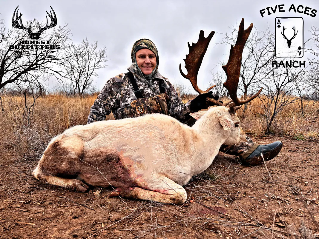 Hunter with trophy fallow deer harvested at Five Aces Ranch in Millersview, TX.