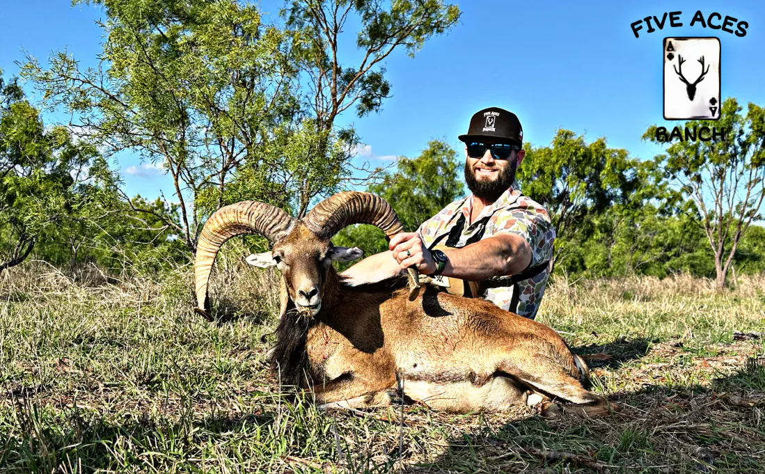 Hunter with trophy red sheep harvested at Five Aces Ranch in Millersview, TX.