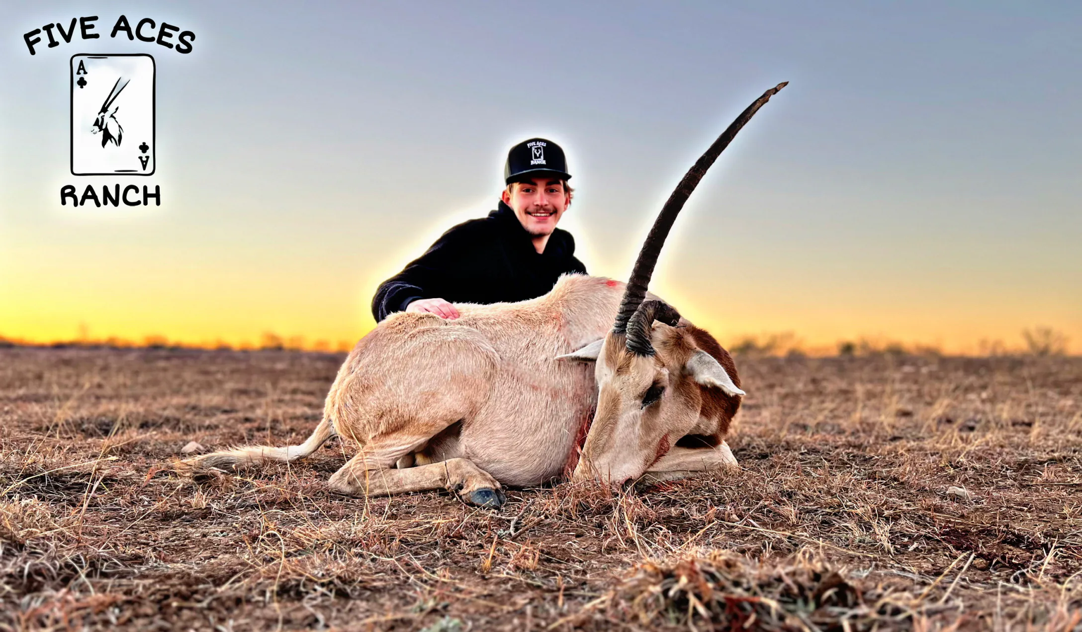 Scimitar-horned oryx trophy at Five Aces Ranch
