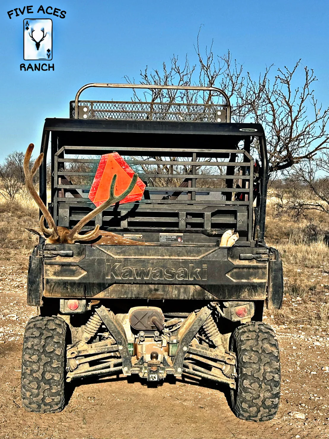 Five Aces Ranch native rangeland in Concho County near Millersview, TX.