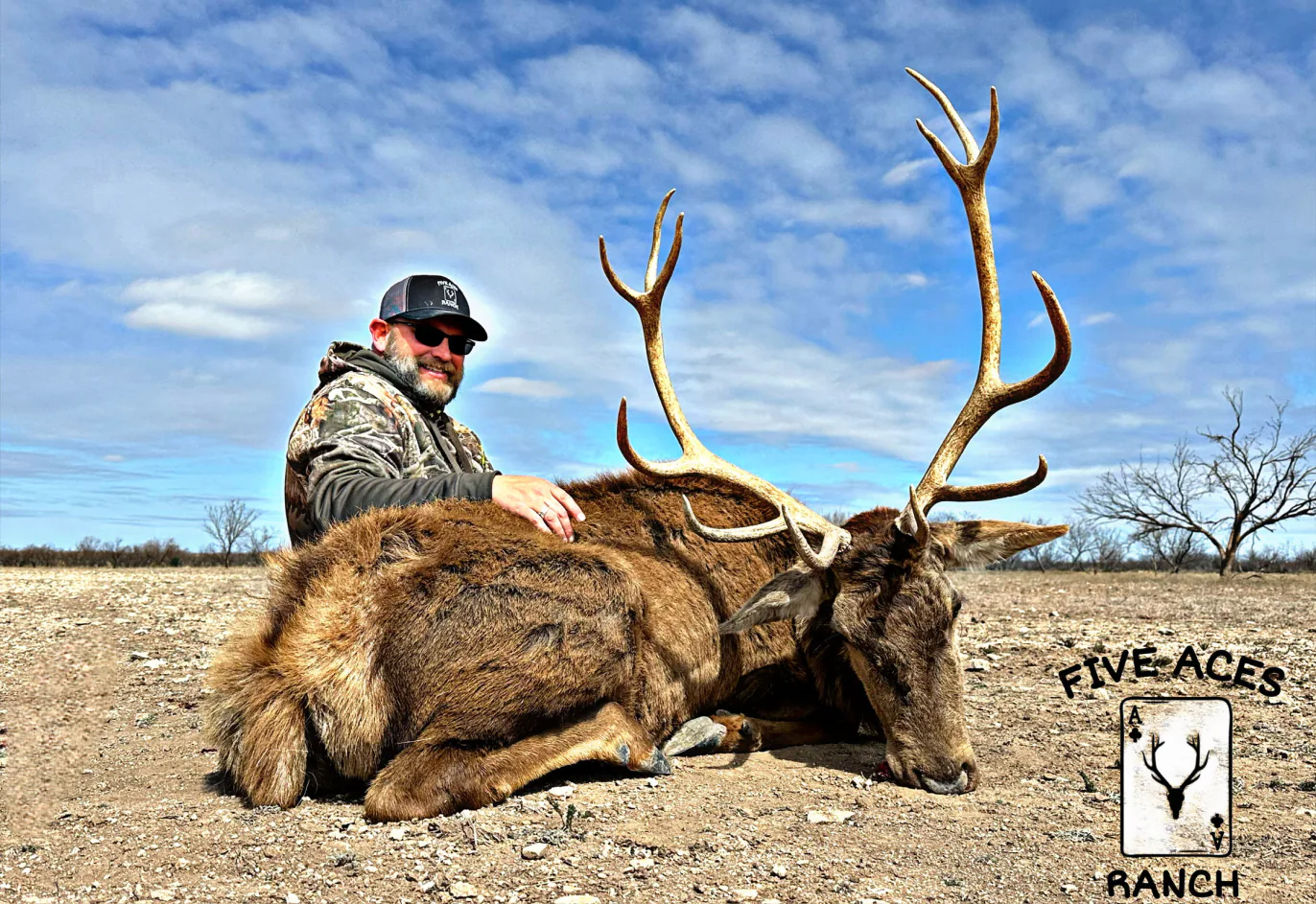 Hunter with trophy red stag harvested at Five Aces Ranch in Millersview, TX.
