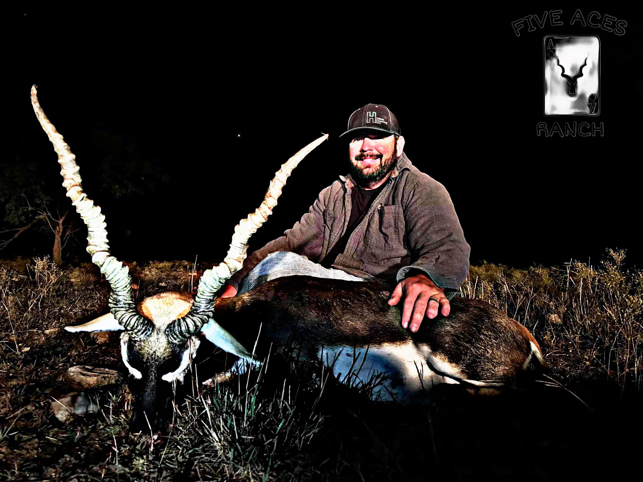 Blackbuck antelope trophy at Five Aces Ranch