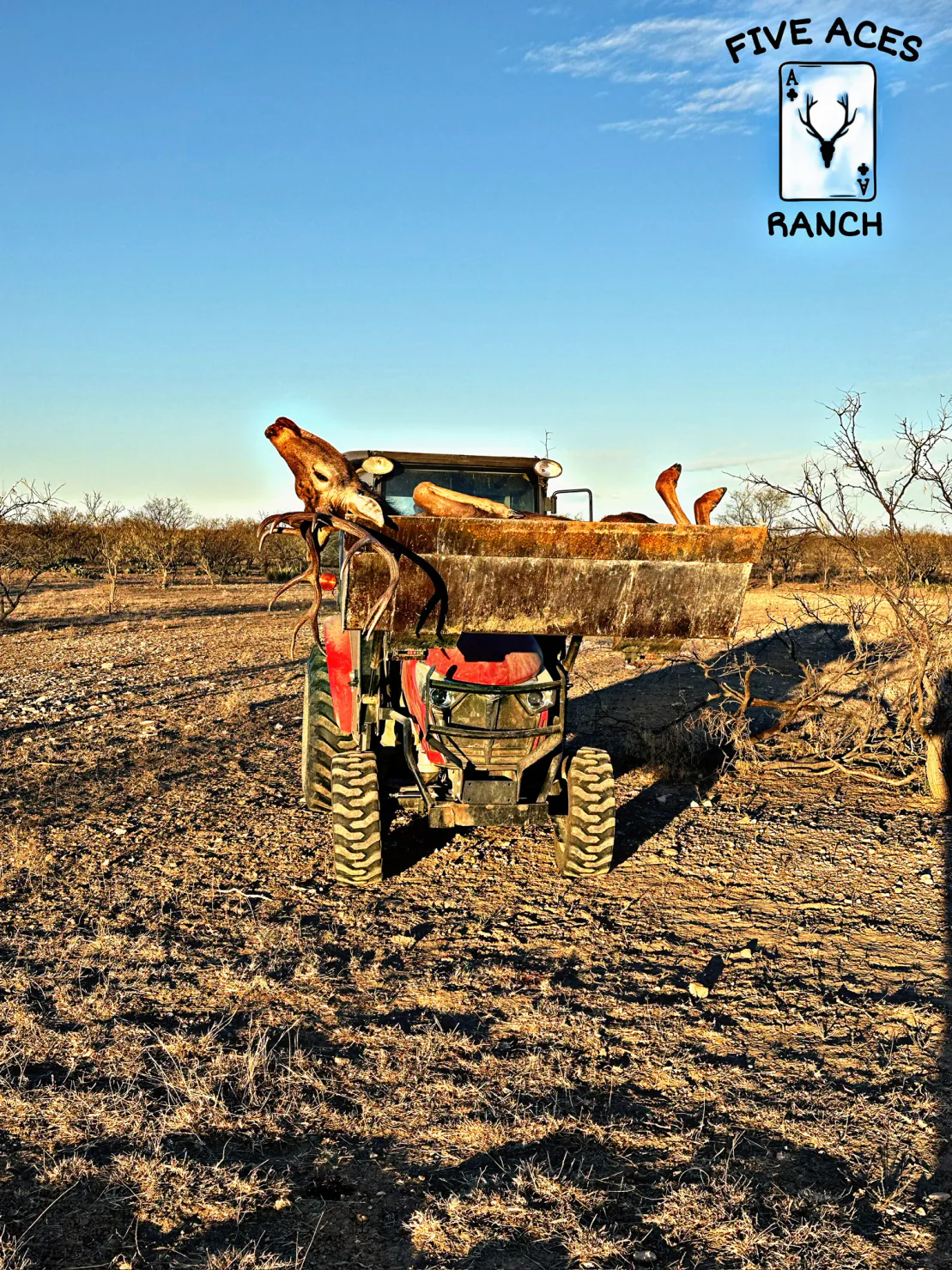 Five Aces Ranch native rangeland in Concho County near Millersview, TX.