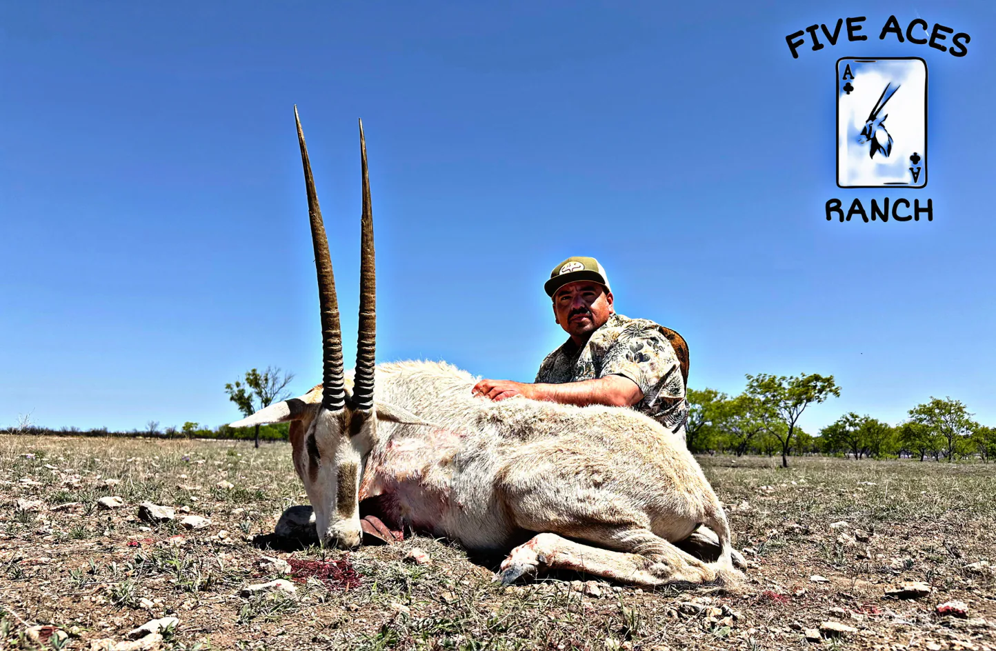 Hunter with trophy gemsbok harvested at Five Aces Ranch in Millersview, TX.