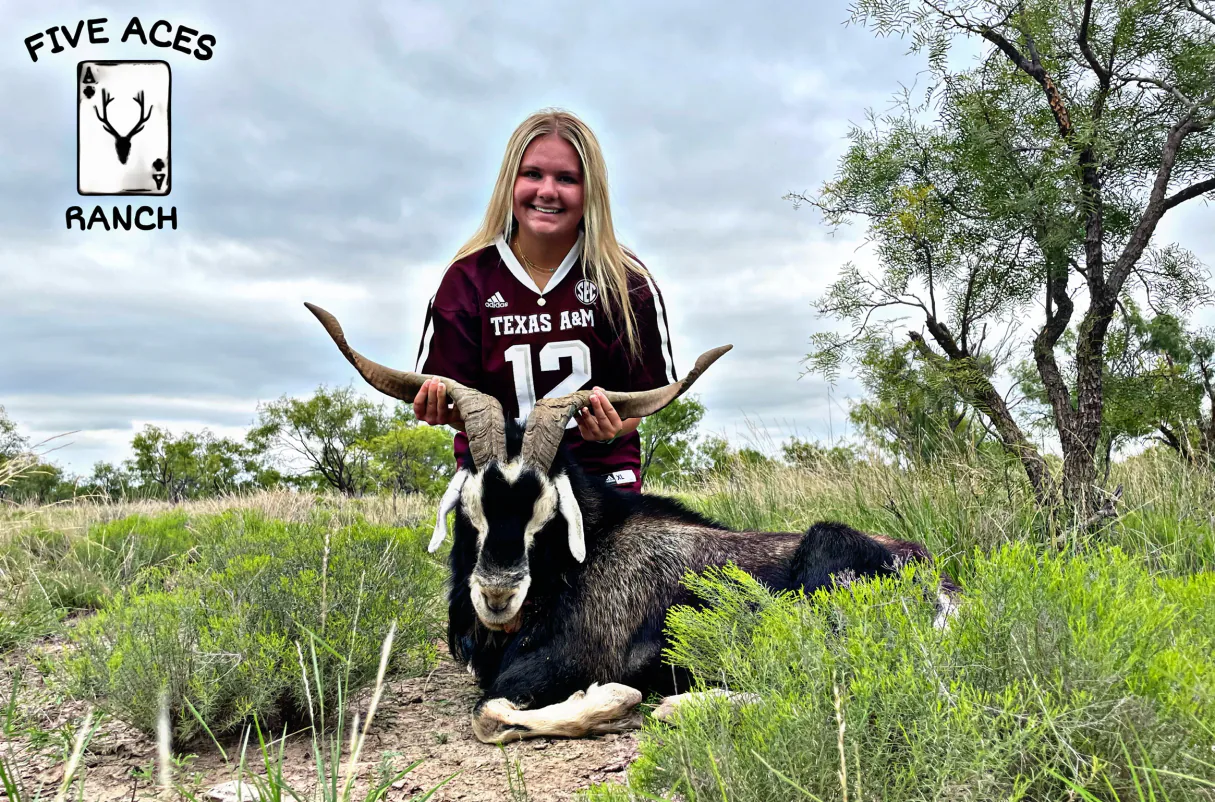 Hunter with trophy catalina goat harvested at Five Aces Ranch in Millersview, TX.