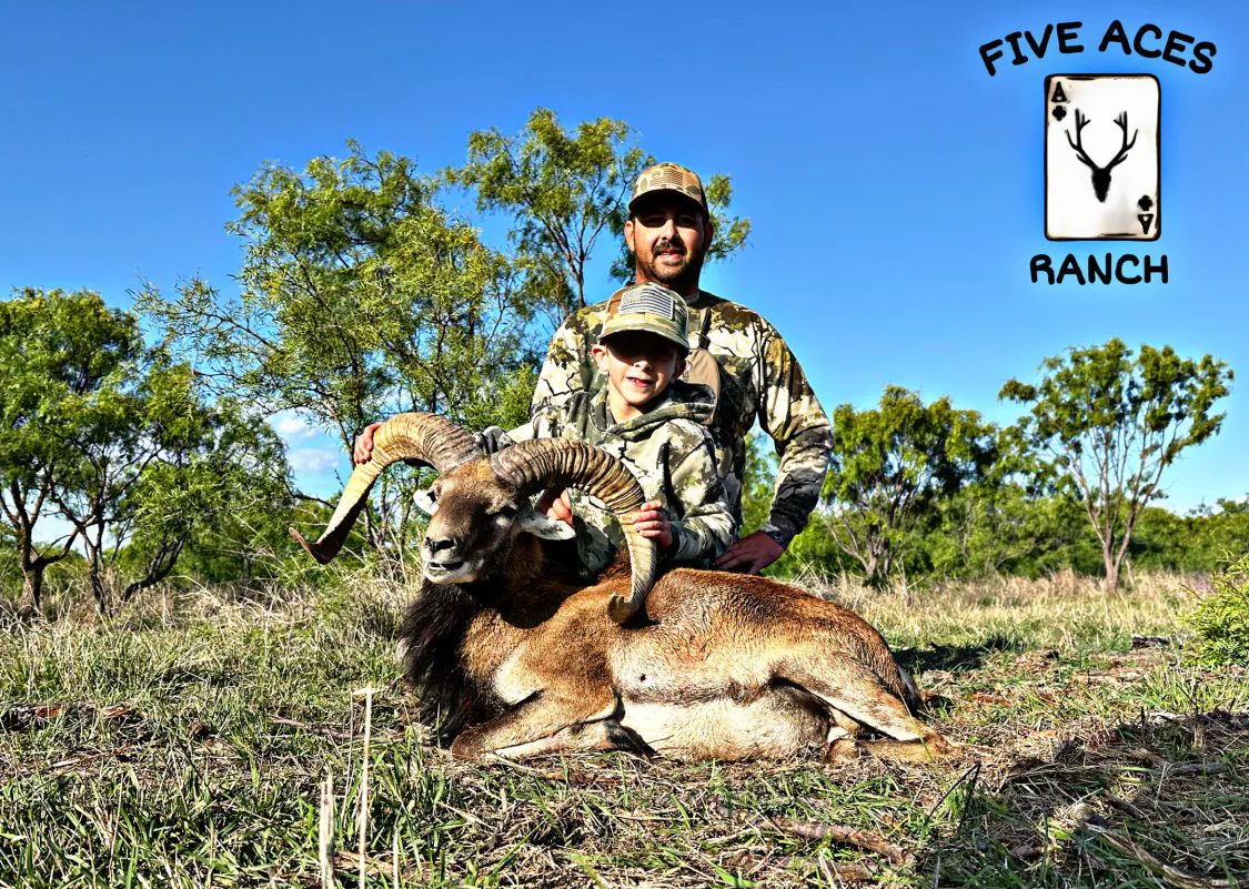 Hunter with trophy red sheep harvested at Five Aces Ranch in Millersview, TX.