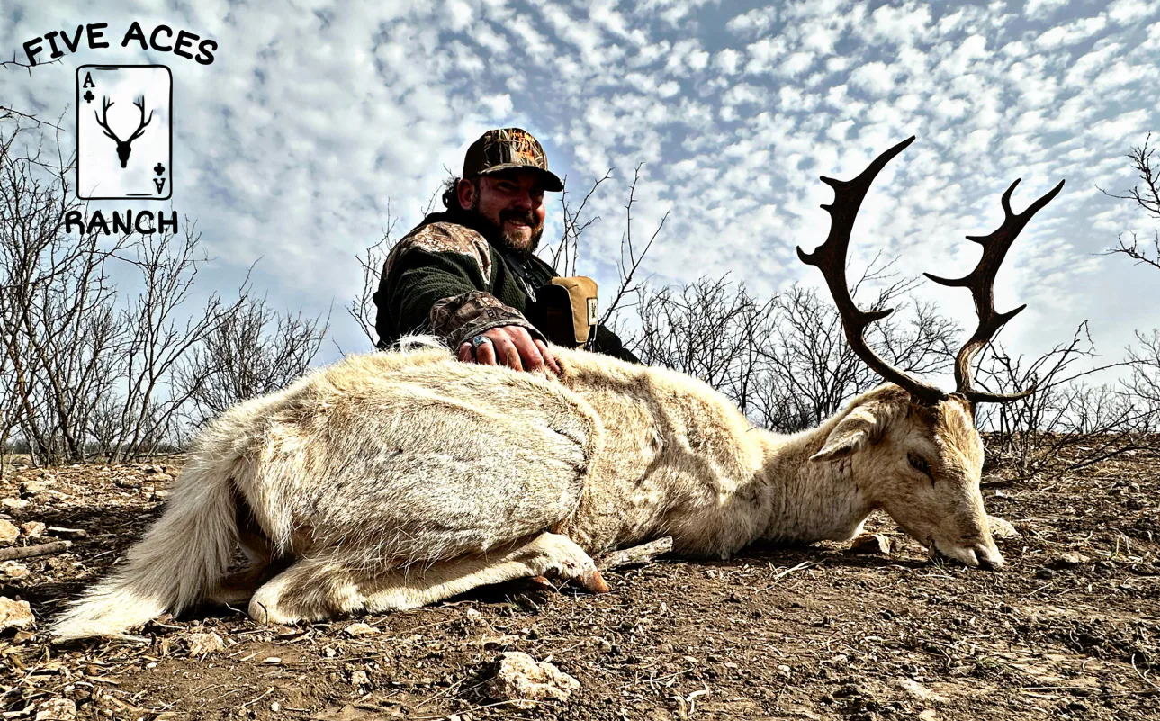 Hunter with trophy scimitar oryx harvested at Five Aces Ranch in Millersview, TX.