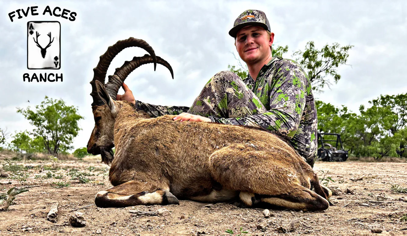 Hunter with trophy ibex harvested at Five Aces Ranch in Millersview, TX.