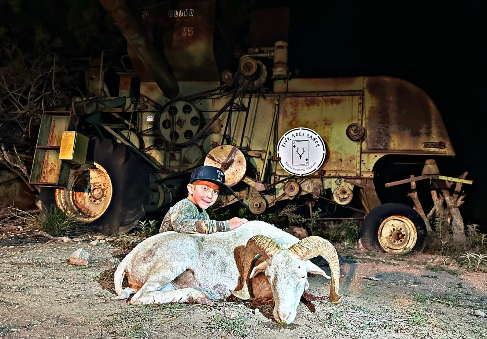 Corsican ram hunt at Five Aces Ranch