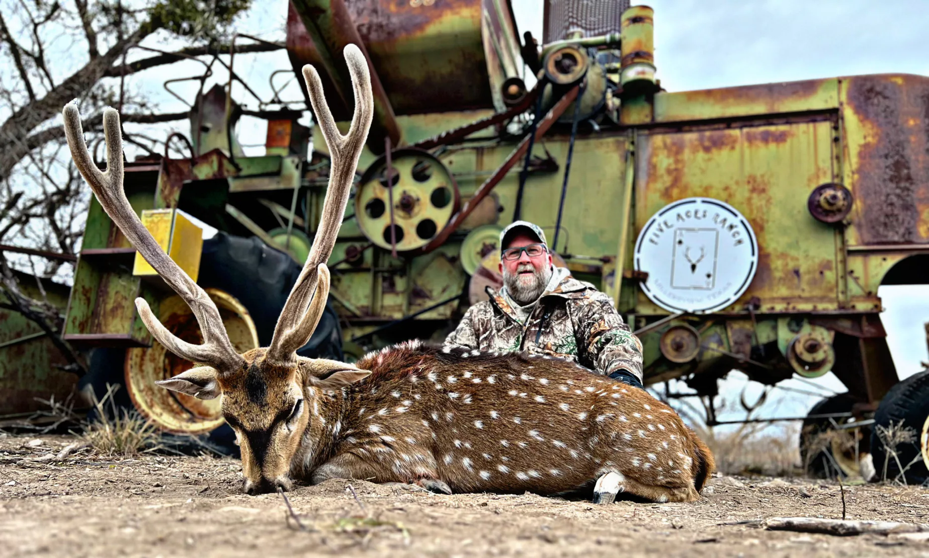 Trophy axis buck harvested at Five Aces Ranch in Concho County, TX
