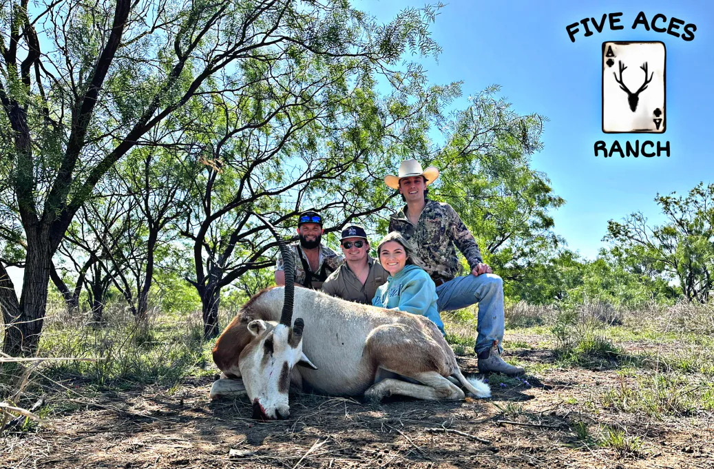 Hunter with trophy red sheep harvested at Five Aces Ranch in Millersview, TX.