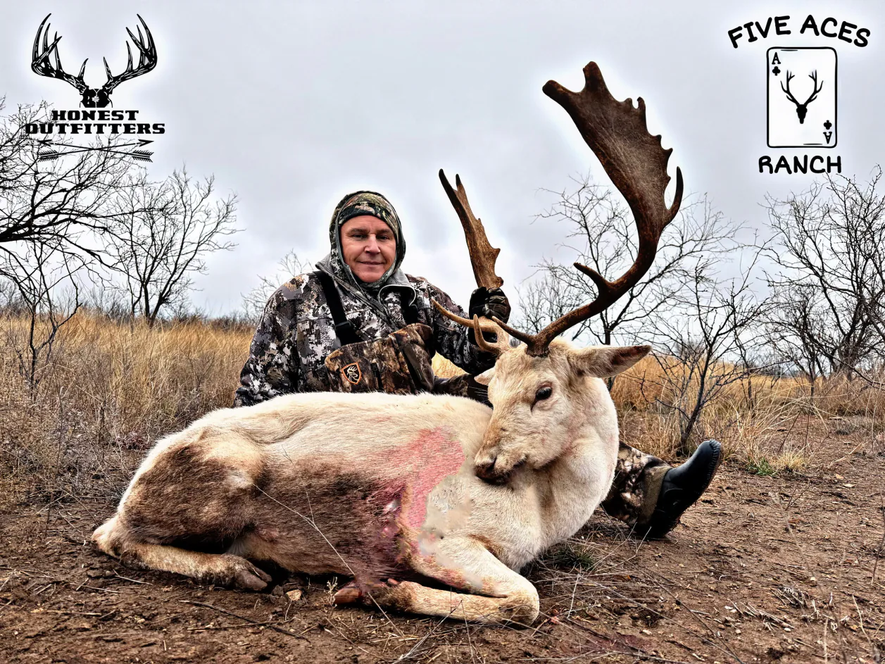 Hunter with trophy fallow deer harvested at Five Aces Ranch in Millersview, TX.