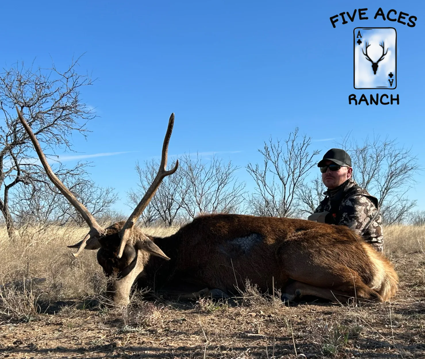 Hunter with trophy blackbuck harvested at Five Aces Ranch in Millersview, TX.