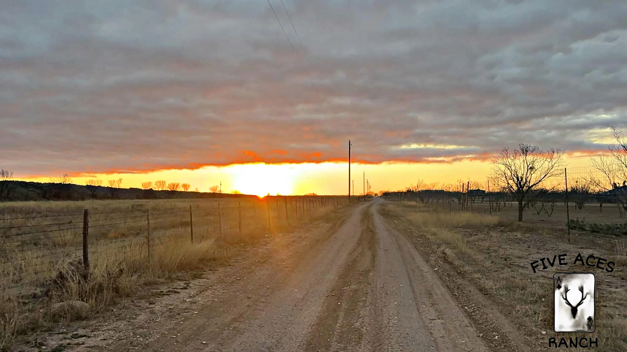 Five Aces Ranch native rangeland in Concho County near Millersview, TX.