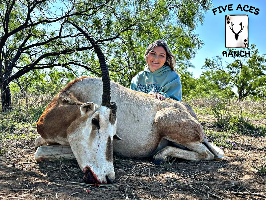 Hunter with trophy gemsbok harvested at Five Aces Ranch in Millersview, TX.