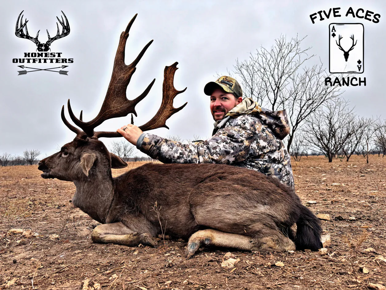 Hunter with trophy fallow deer harvested at Five Aces Ranch in Millersview, TX.