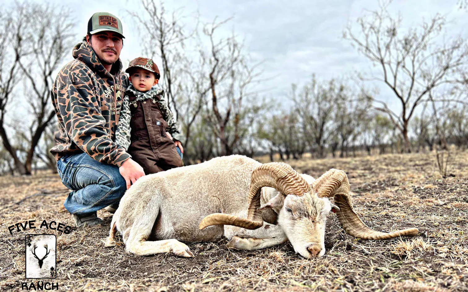 Corsican ram at Five Aces Ranch - Photo 3