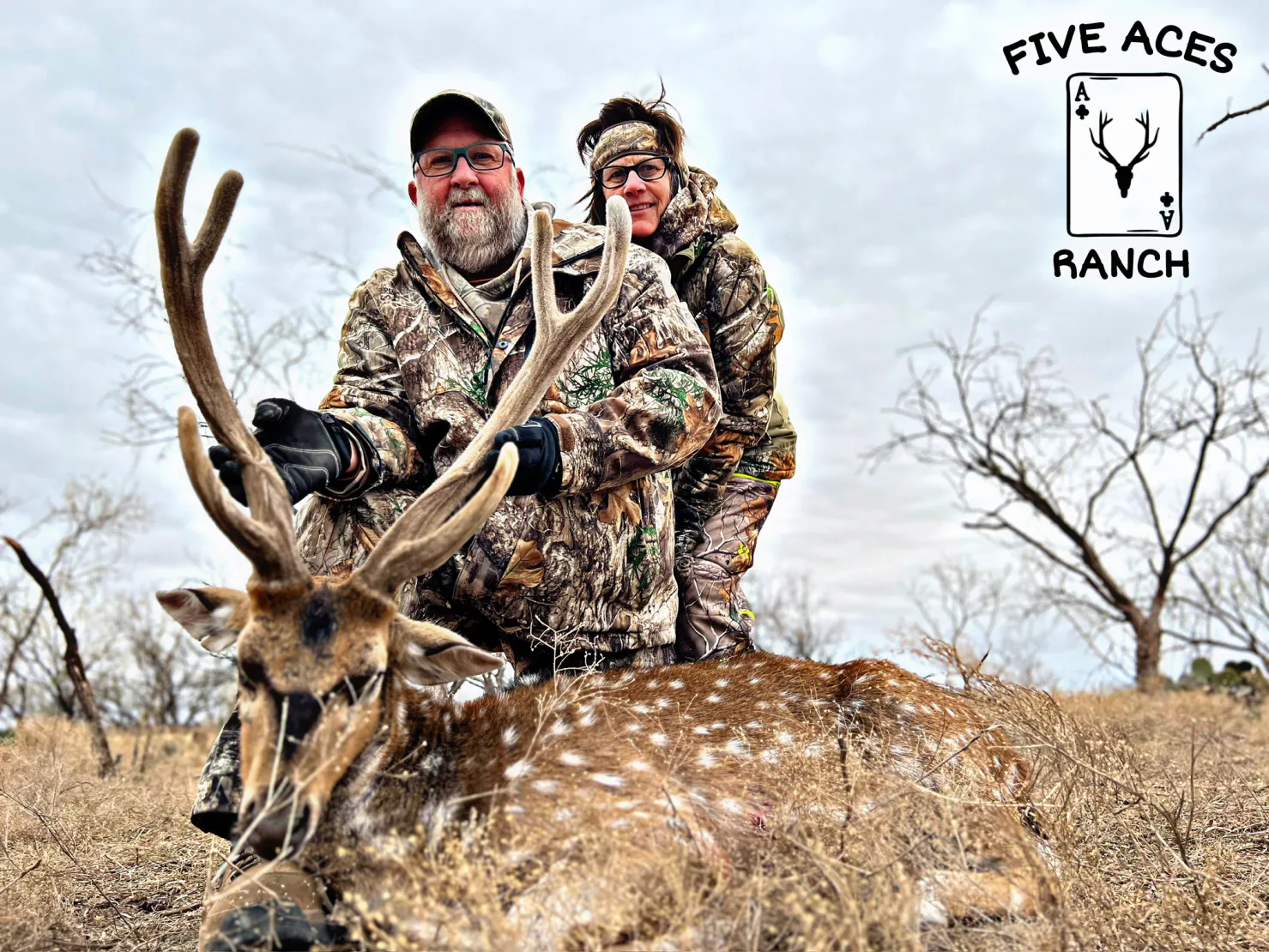 Axis deer trophy at Five Aces Ranch, Millersview Texas
