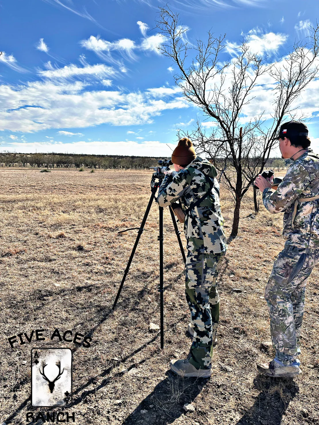 Five Aces Ranch native rangeland in Concho County near Millersview, TX.