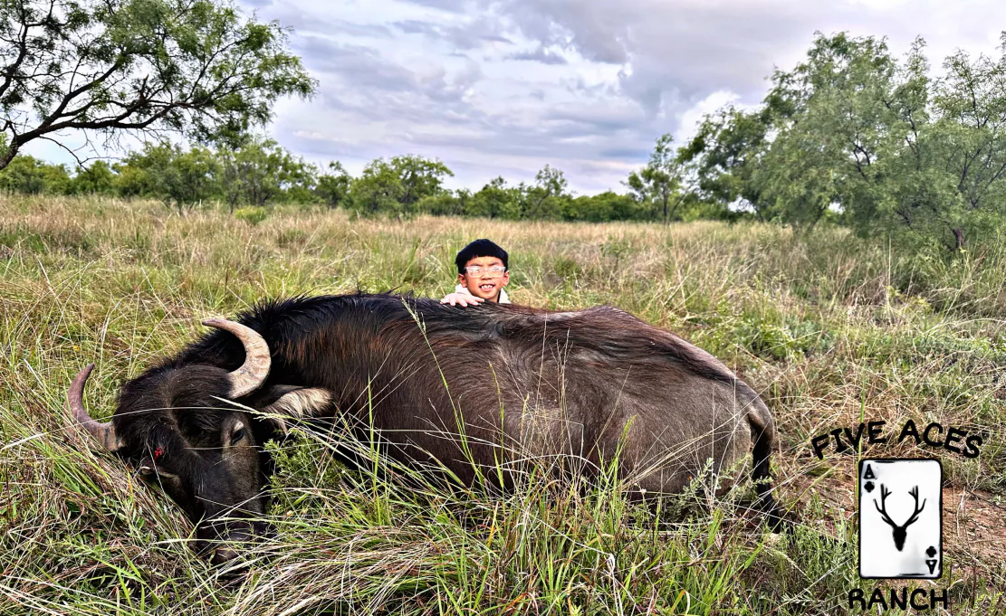 Free-ranging exotic wildlife at Five Aces Ranch, Millersview TX.