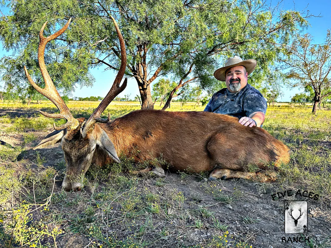 Hunter with trophy red stag harvested at Five Aces Ranch in Millersview, TX.