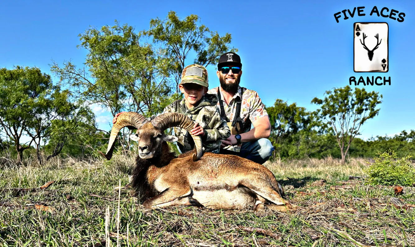 Hunter with trophy red sheep harvested at Five Aces Ranch in Millersview, TX.