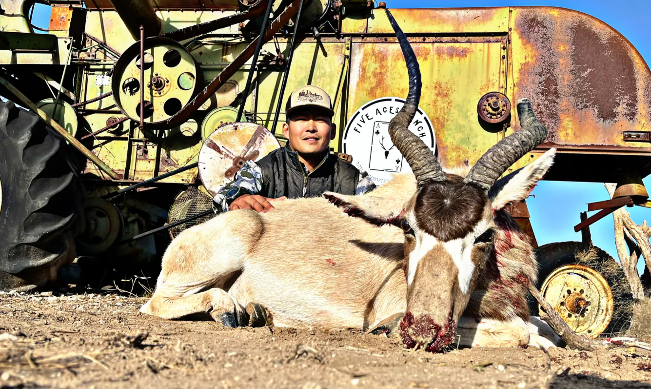 Hunter with trophy trophy ram harvested at Five Aces Ranch in Millersview, TX.