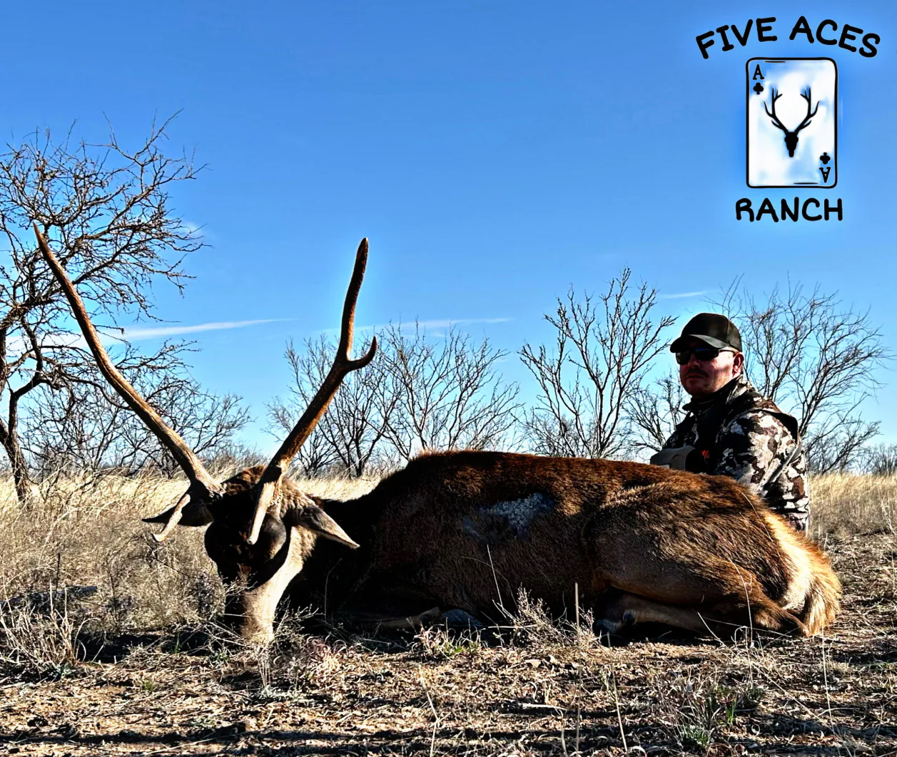 Hunter with trophy blackbuck harvested at Five Aces Ranch in Millersview, TX.