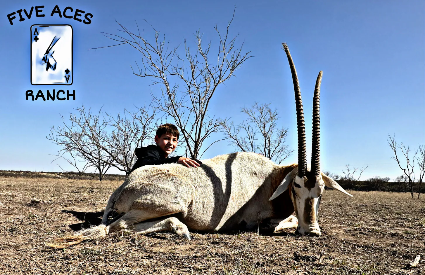 Hunter with trophy scimitar oryx harvested at Five Aces Ranch in Millersview, TX.