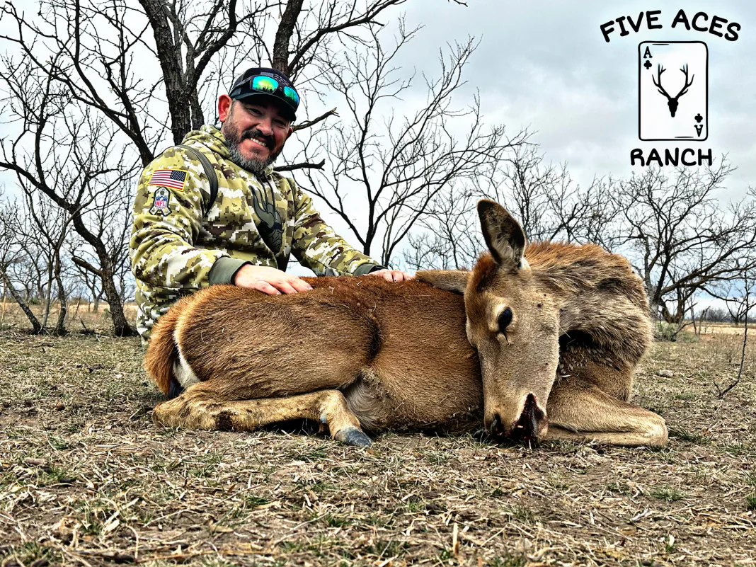 Free-ranging exotic wildlife at Five Aces Ranch, Millersview TX.