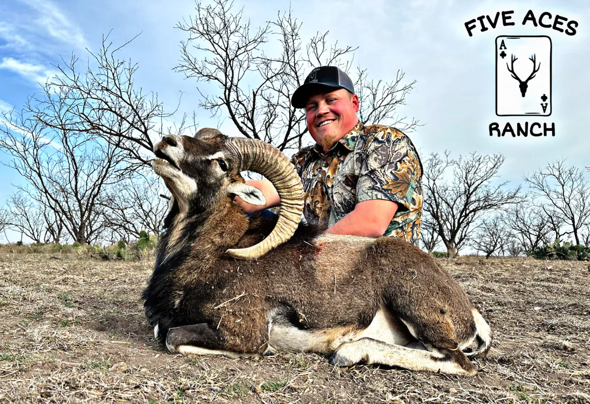 Hunter with trophy red sheep harvested at Five Aces Ranch in Millersview, TX.