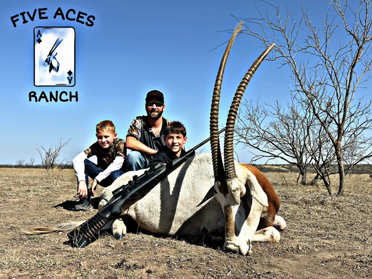 Hunter with trophy scimitar oryx harvested at Five Aces Ranch in Millersview, TX.