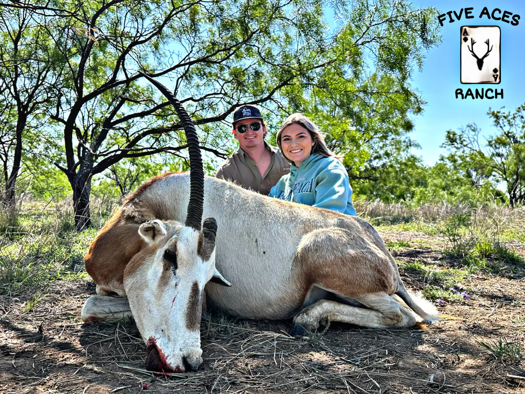 Hunter with trophy gemsbok harvested at Five Aces Ranch in Millersview, TX.