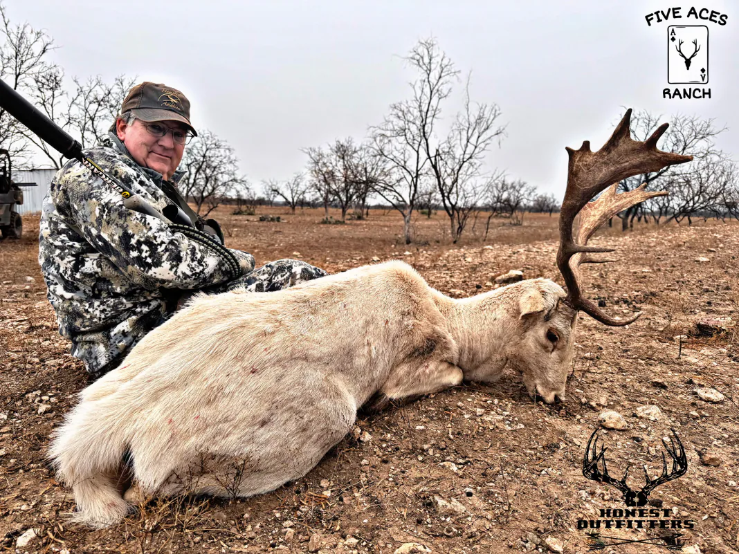 Hunter with trophy fallow deer harvested at Five Aces Ranch in Millersview, TX.