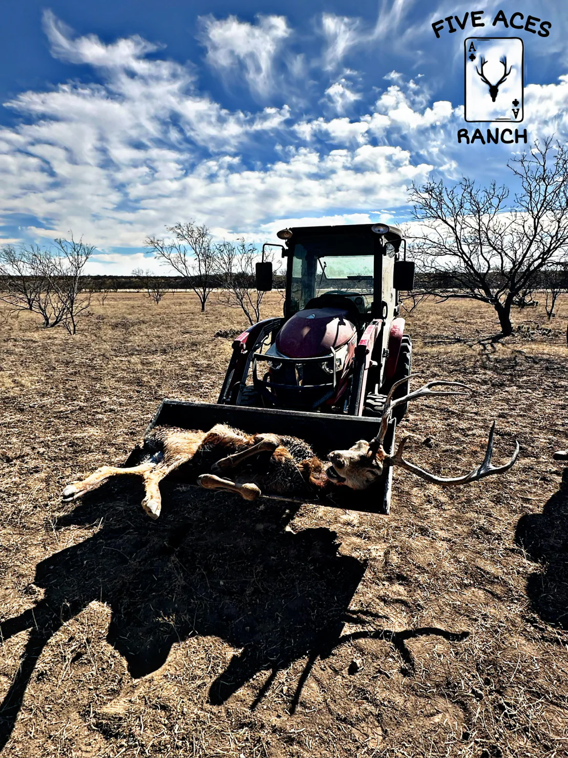 Five Aces Ranch native rangeland in Concho County near Millersview, TX.