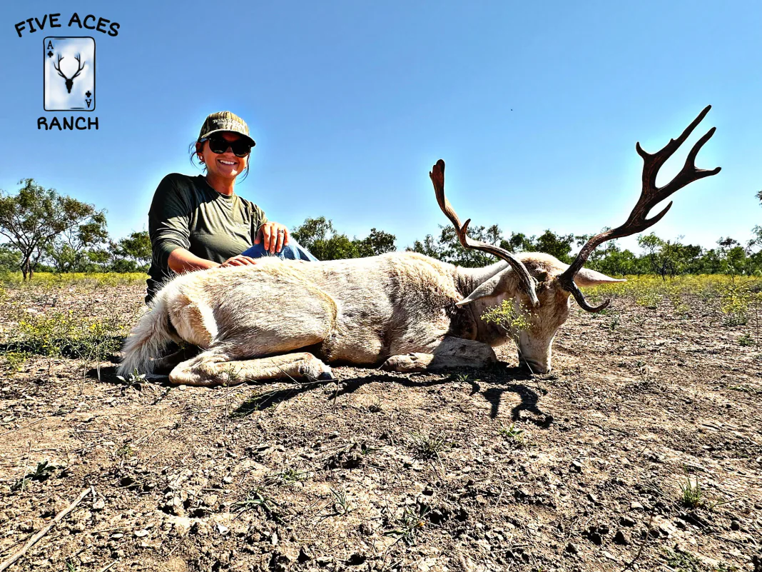 Hunter with trophy red stag harvested at Five Aces Ranch in Millersview, TX.