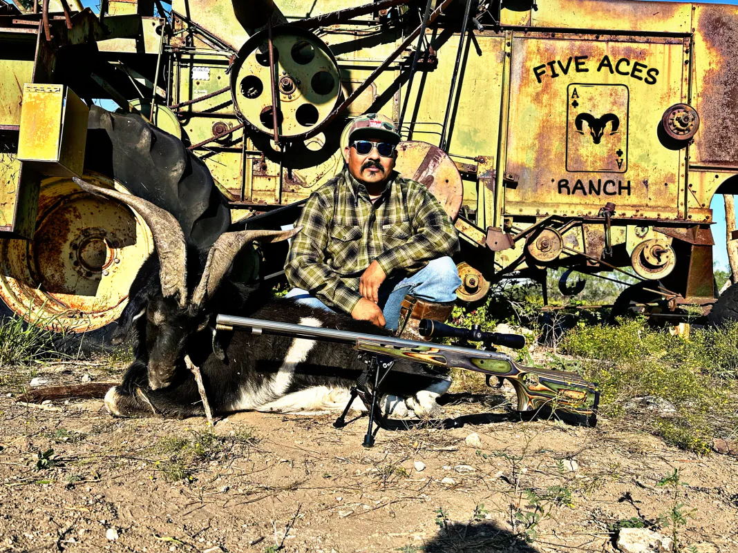 Guided axis deer hunt at Five Aces Ranch near Millersview, TX